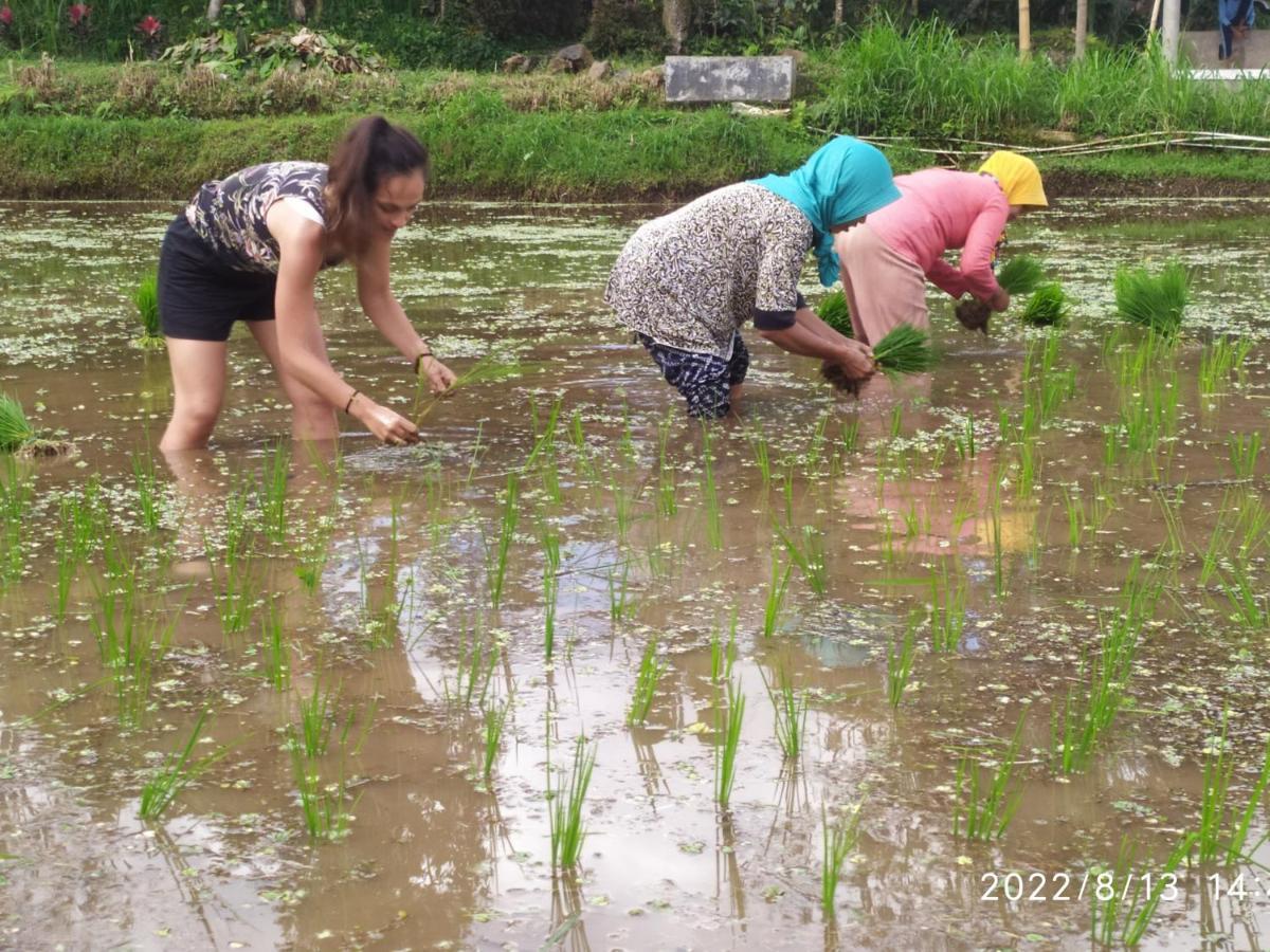 טטבאטו Green Haven Homestay מראה חיצוני תמונה