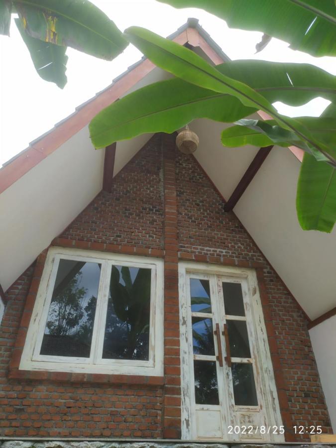 טטבאטו Green Haven Homestay מראה חיצוני תמונה