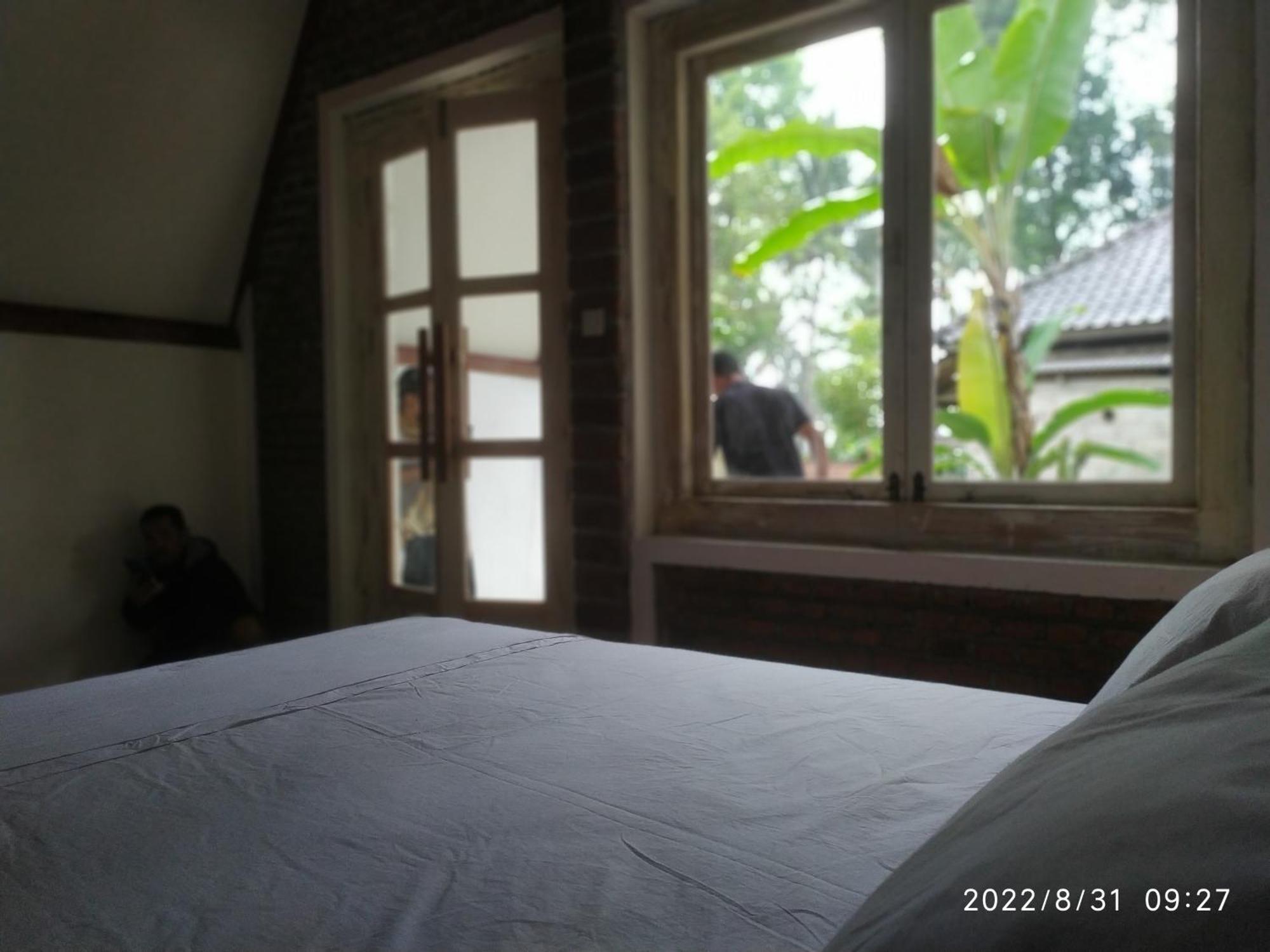 טטבאטו Green Haven Homestay חדר תמונה